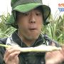 ｶﾞｼﾞｯ