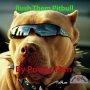 POWER MAN - RUSH THEM PITBULL - SINGLE #ITUNES 7/14/17