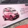 Wie heeft Robijntje in deze smart BRABUS gezet?! #robijn#smart #shanghaiaiai