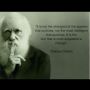 @Smithyboy16 @kevthecab @SlimAlsCabs my favourite quote 