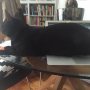 Angus says no more computer 