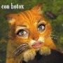 @francotorchiaok "El Gato con Botox"..... No es genial?